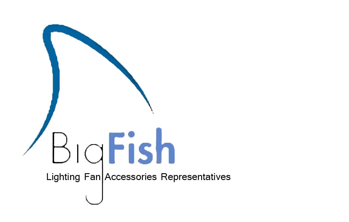 Big Fish Lighting Logo